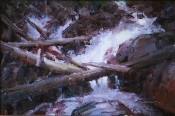 \'Fall Creek Logs\' 8X12 Oil on Linen