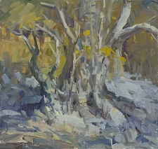 'Fall Sycamore' 12x12 Oil on Linen
