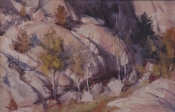 \'Brown\'s Canyon Rock Garden\' 10x15 Oil on Linen