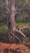 \'Creekside Roots\' 24X15 Oil on Linen