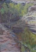 'Along Bright Angel Creek' 9x6 Oil on Linen