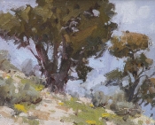 \'A Nice View\' 6x8 Oil on Linen