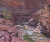 'Down National Canyon' 10x12 Oil on Linen