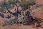 'Pinyon and Pear' 4x6 Oil on Linen