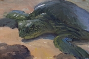 'Ho Okipa Turtles 2' 4x6 Oil on Linen