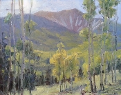 \'Mount Ouray From Marshall Pass\' 16x20 Oil