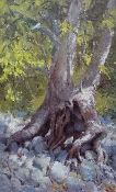 \'Root Caves\' 20x12 Oil on Linen