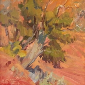 'Juniper and Cactus' 8x8 Oil on Linen