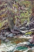 'Exposed Roots' 12x8 Oil