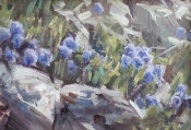 'Alpine Gardens' 8x12 Oil on Linen