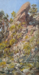 'Browns Canyon Pocket Grove' 24x12 Oil on Linen
