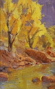 \'Cottonwood Reflections\' 8x5 Oil on Linen