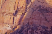 \'In The Shadow of Mount Spry\' 20x30 Oil on Linen