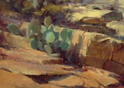 'Cactus Rock Garden' 10X12 Oil