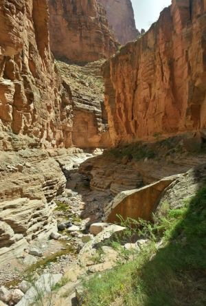 Doug Braithwaite painting in the bottom of National Canyon