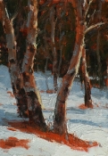 \'Almost Spring\' 10X7 Oil