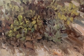 'Desert Flora' 4x6 Oil on Linen