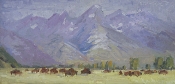 'Prairie Nomads' 9x16 Oil on Linen