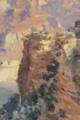 'Kaibab Shapes' 12x8 Oil on Linen