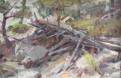 'Fallen Pine' 8x12 Oil on Linen