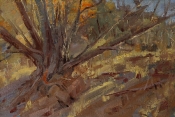 \'Afternoon Warmth\' 8x12 Oil on Linen