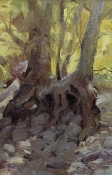 \'Creekbed Sycamore\' 12x8 Oil on Linen